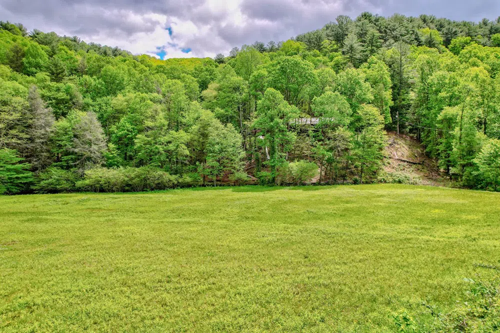 16400 Big Creek Road Cherry Log, GA 30522