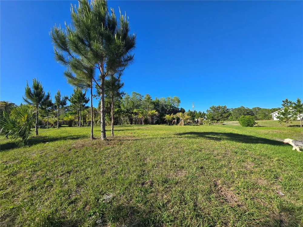 2625 GLENCOE FARMS ROAD New Smyrna Beach, FL 32168
