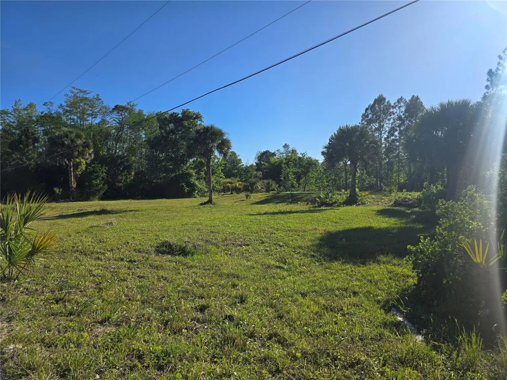 2625 GLENCOE FARMS ROAD New Smyrna Beach, FL 32168