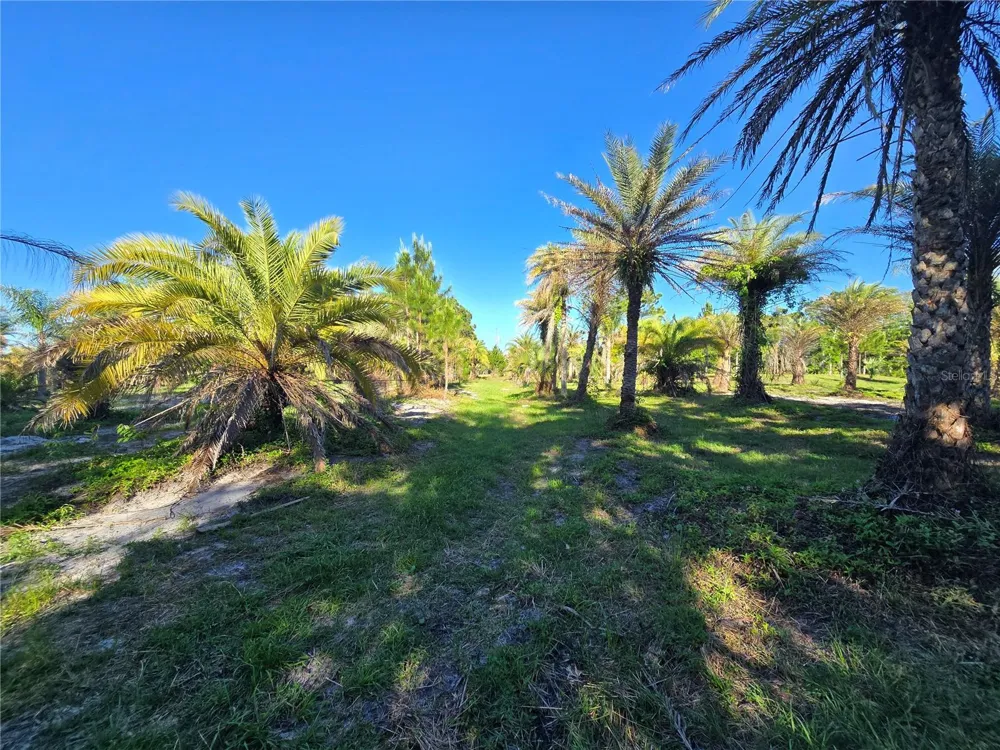 2625 GLENCOE FARMS ROAD New Smyrna Beach, FL 32168