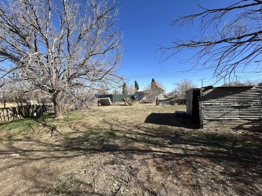 1309 S Canyon Avenue Lamesa, TX 79331