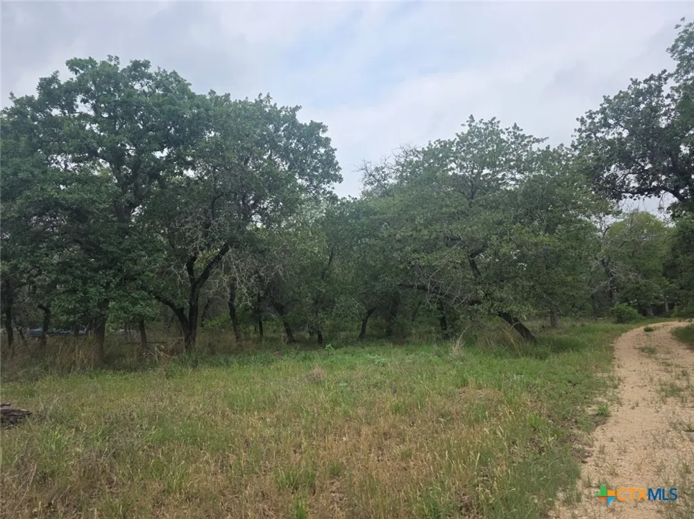 1060 Vivroux Ranch Road Seguin, TX 78155
