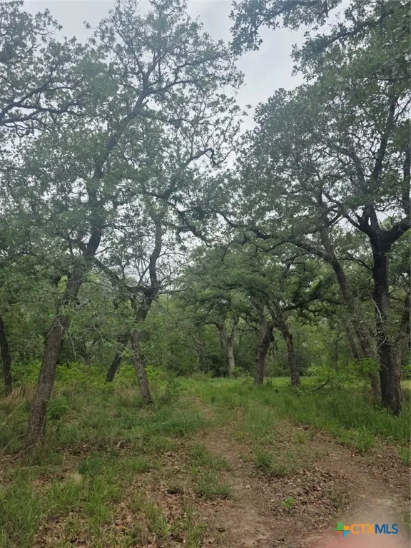 1060 Vivroux Ranch Road Seguin, TX 78155