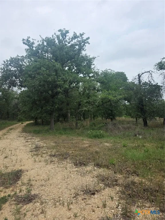 1060 Vivroux Ranch Road Seguin, TX 78155