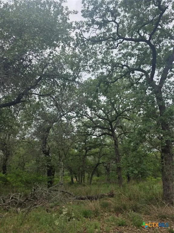 1060 Vivroux Ranch Road Seguin, TX 78155