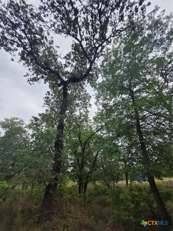 1060 Vivroux Ranch Road Seguin, TX 78155