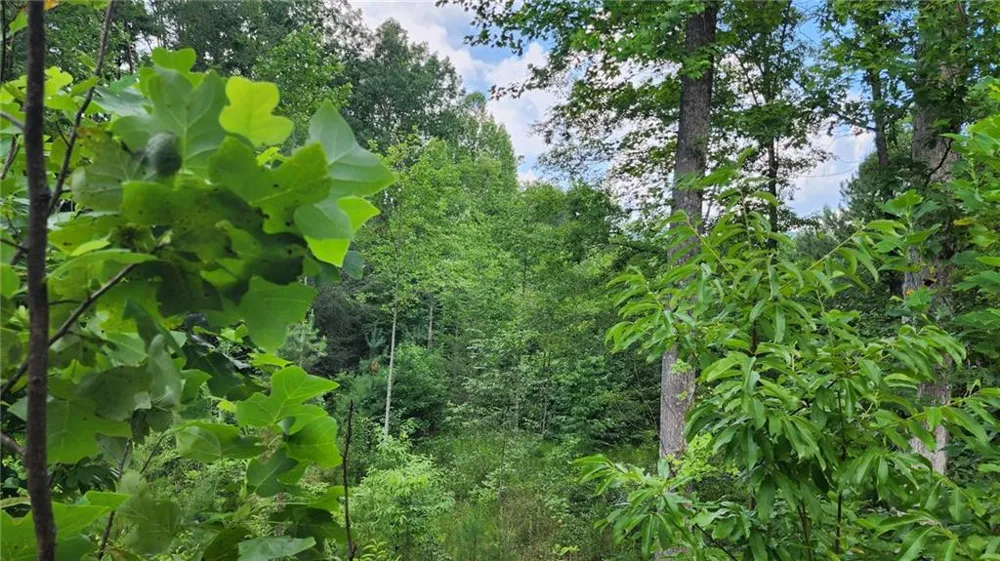 0 MOUNTAIN GLEN COURT Clarkesville, GA 30523