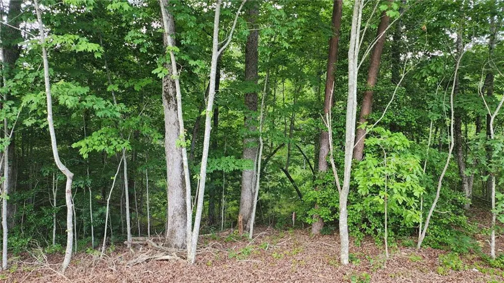 0 MOUNTAIN GLEN COURT Clarkesville, GA 30523