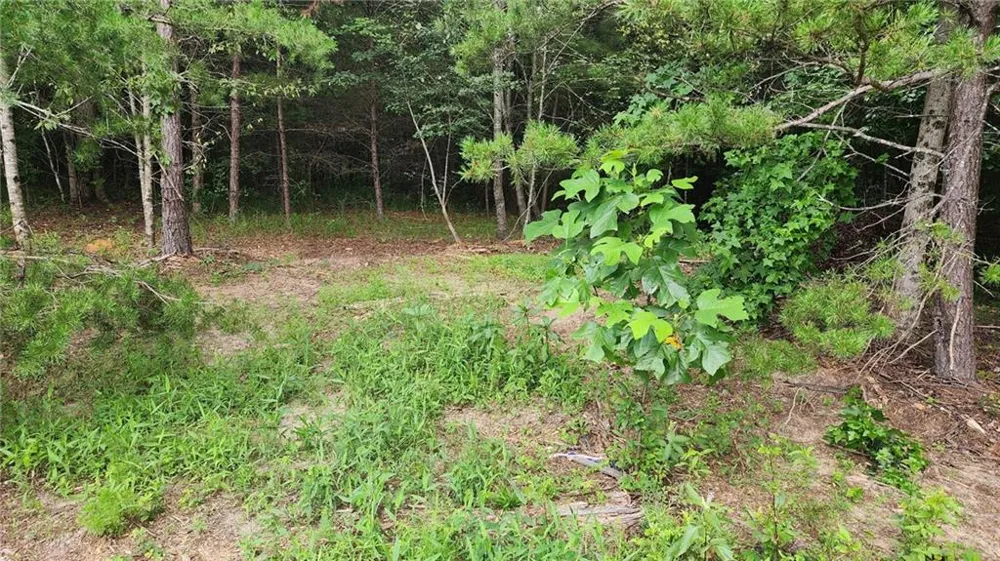 0 MOUNTAIN GLEN COURT Clarkesville, GA 30523