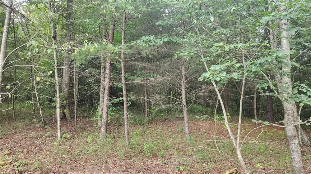 0 MOUNTAIN GLEN COURT Clarkesville, GA 30523