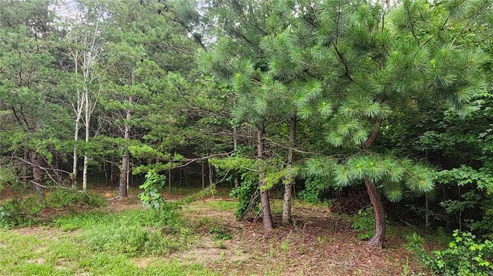 0 MOUNTAIN GLEN COURT Clarkesville, GA 30523