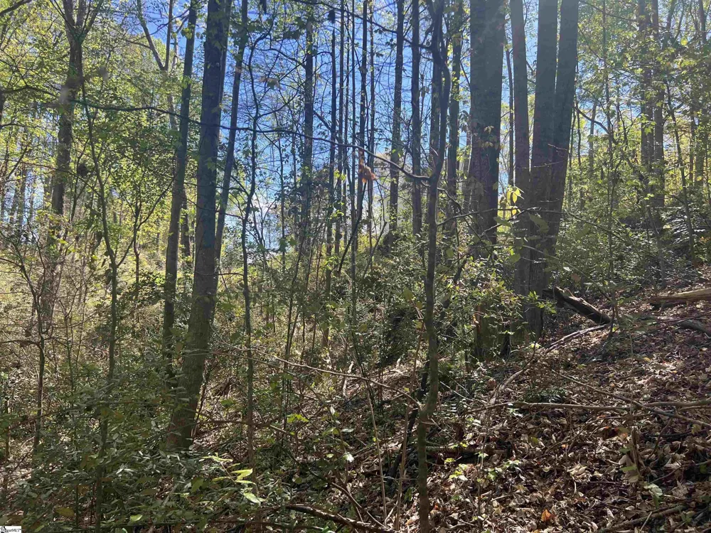 00 76 Highway Clemson, SC 29631