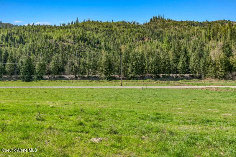 19 Horn Hooked Lane St. Maries, ID 83861