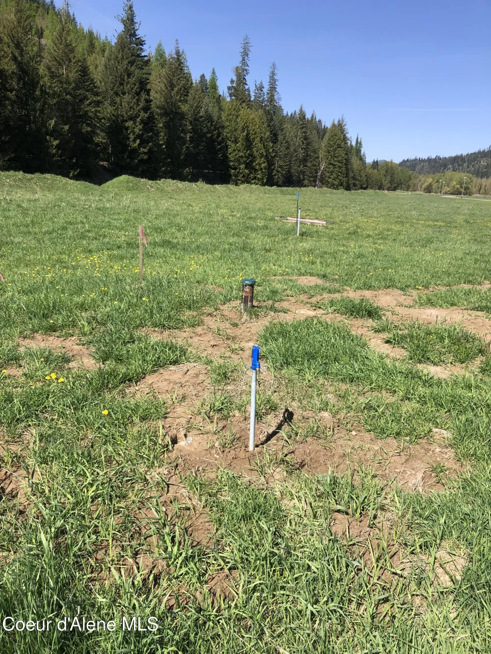19 Horn Hooked Lane St. Maries, ID 83861