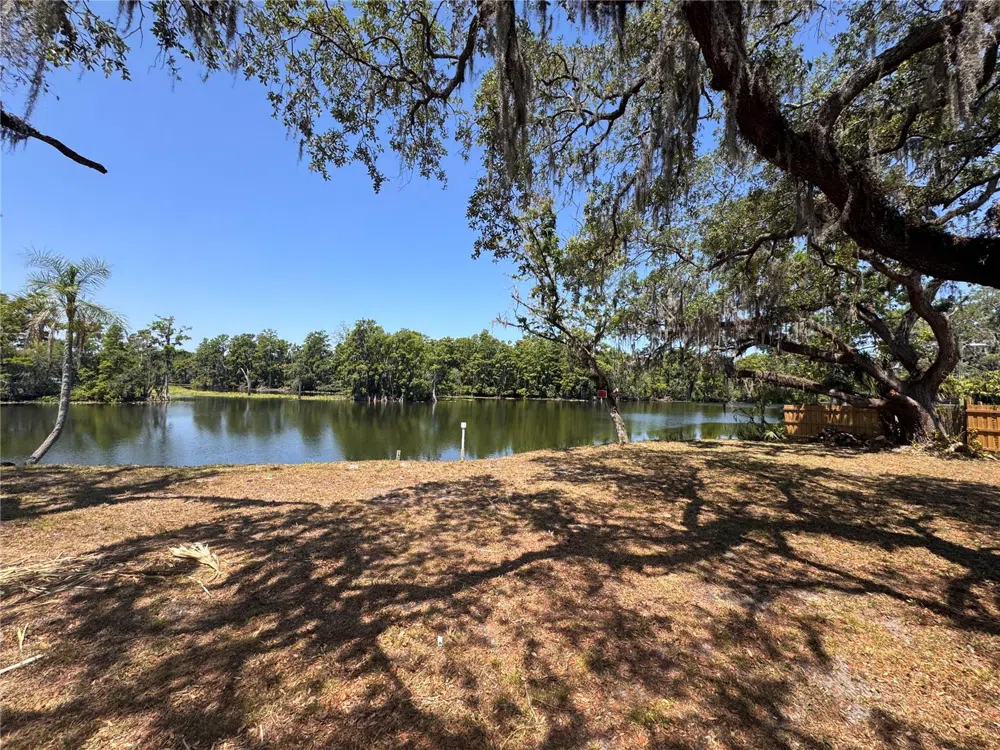 HARNEY Tampa, FL 33617
