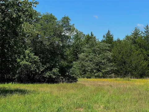15136 County Road 424