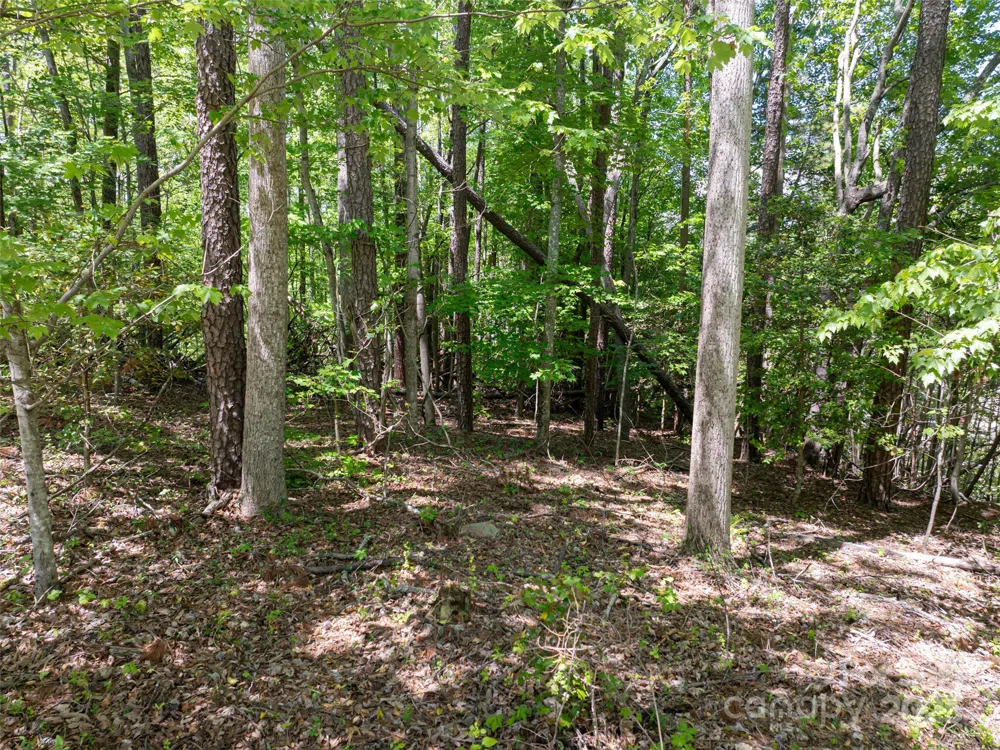 99999 Brevard Road Arden, NC 28704