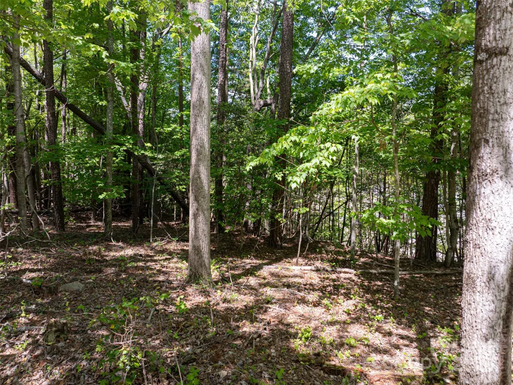 99999 Brevard Road Arden, NC 28704