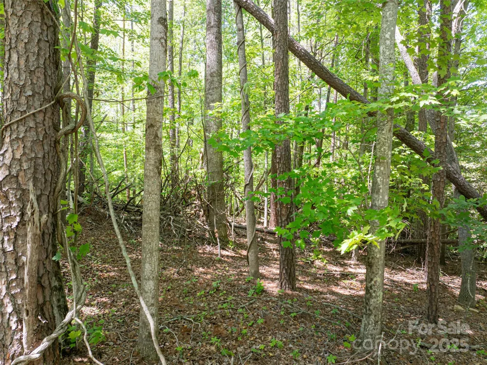 99999 Brevard Road Arden, NC 28704