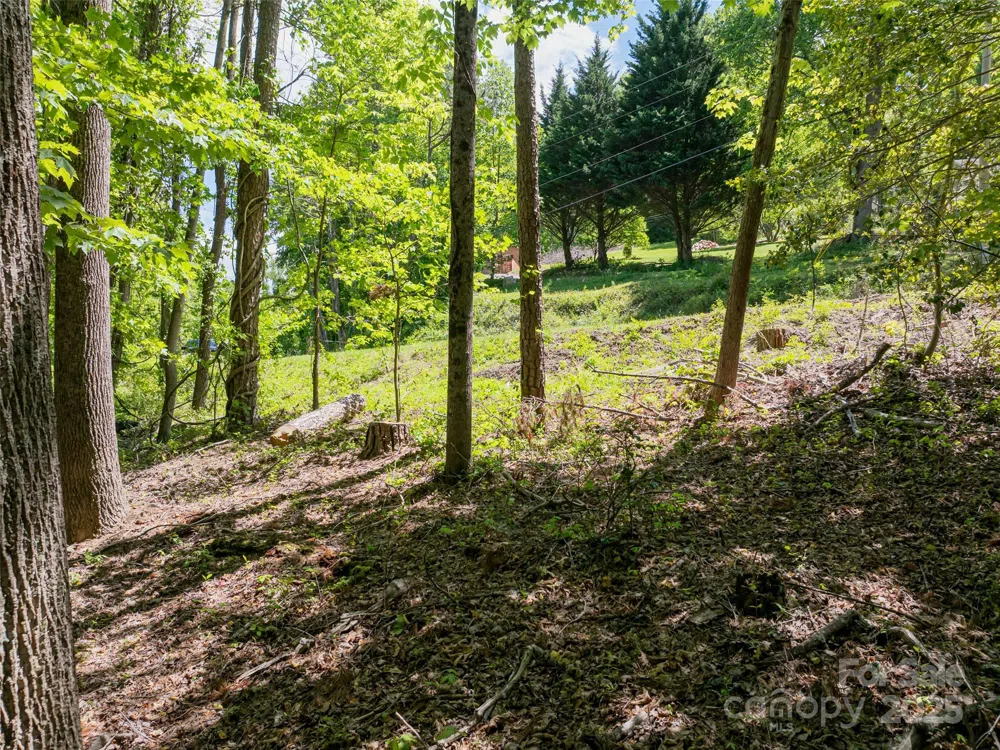 99999 Brevard Road Arden, NC 28704