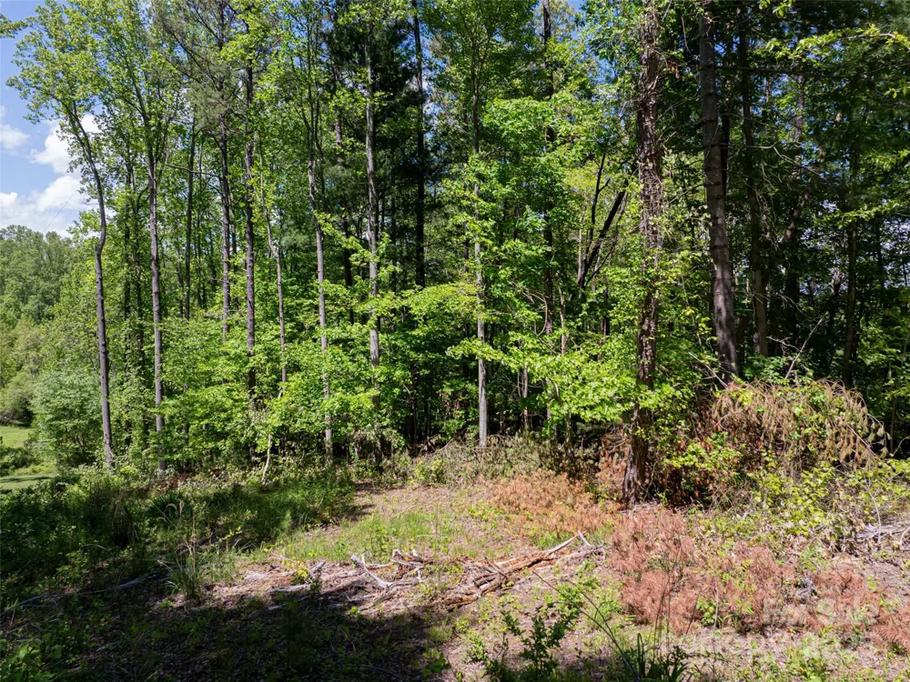 99999 Brevard Road Arden, NC 28704