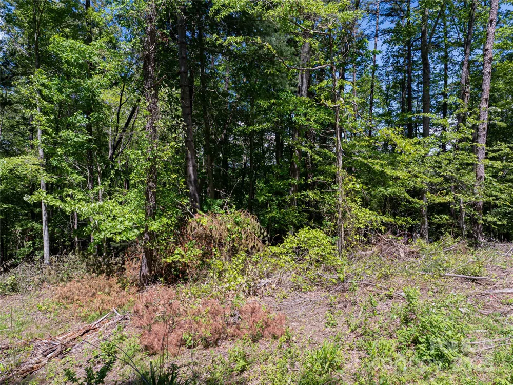 99999 Brevard Road Arden, NC 28704