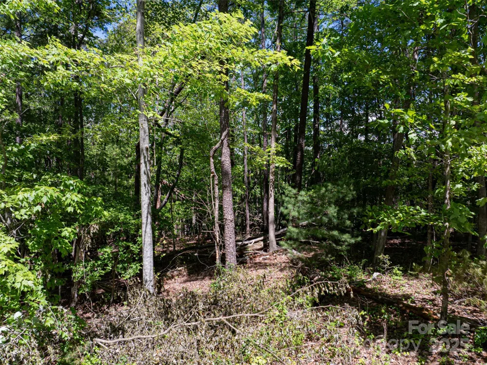 99999 Brevard Road Arden, NC 28704