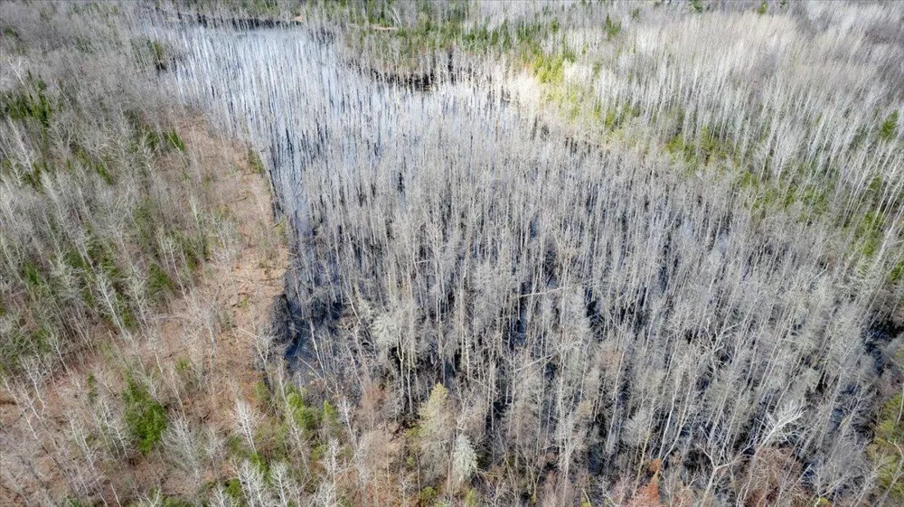5600 E Otto Road South Range, WI 54874