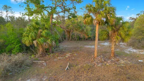 1411 SARASOTA COURT