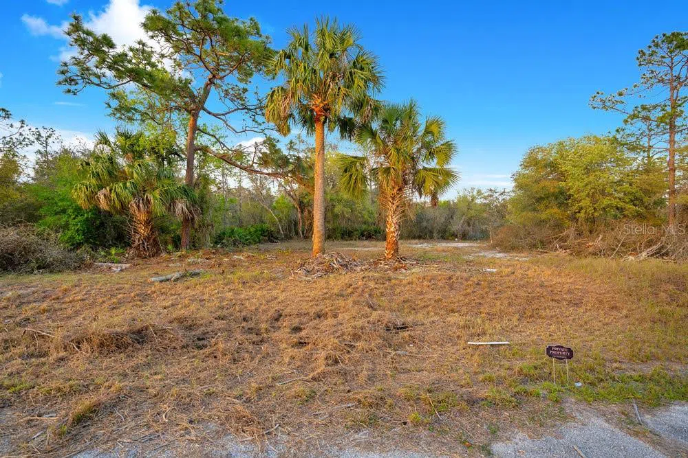 1411 SARASOTA COURT Poinciana, FL 34759