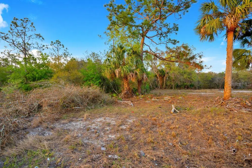 1411 SARASOTA COURT Poinciana, FL 34759