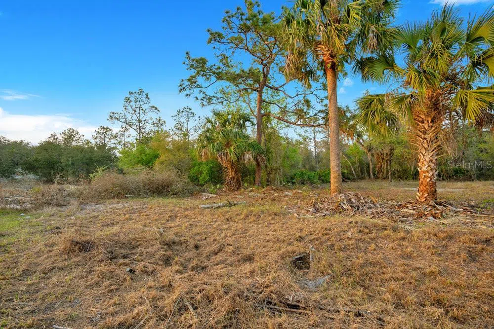 1411 SARASOTA COURT Poinciana, FL 34759