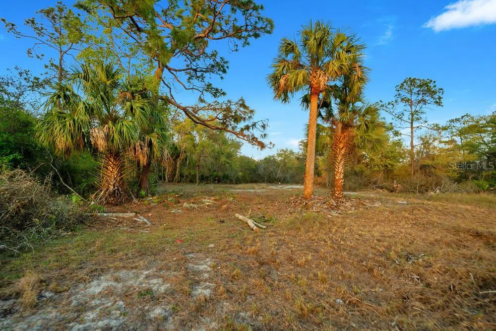 1411 SARASOTA COURT Poinciana, FL 34759