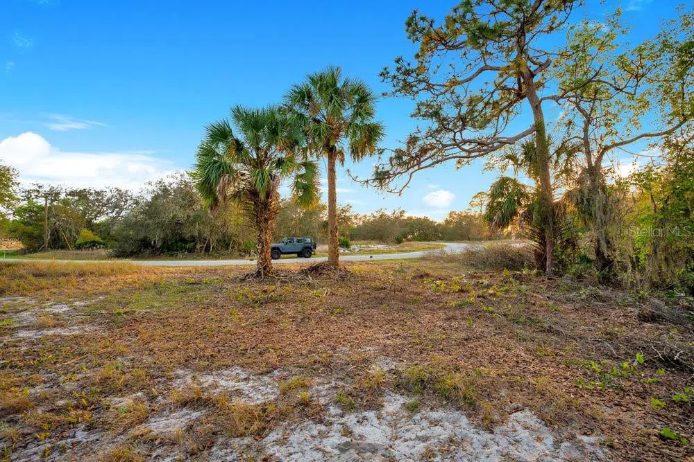 1411 SARASOTA COURT Poinciana, FL 34759