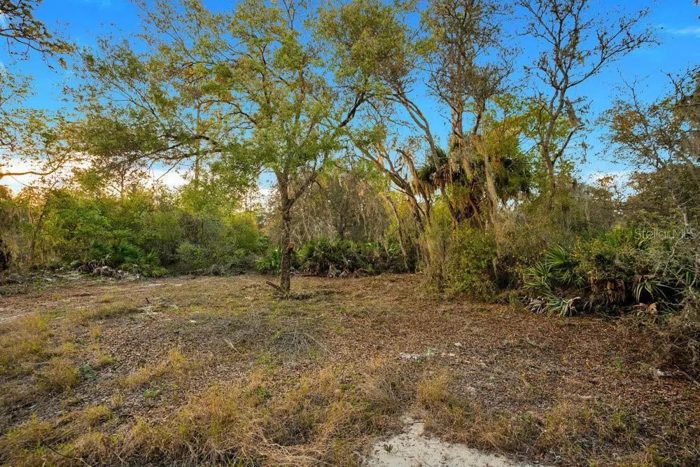 1411 SARASOTA COURT Poinciana, FL 34759