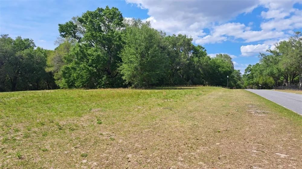00 SE 101ST CT ROAD Belleview, FL 34420