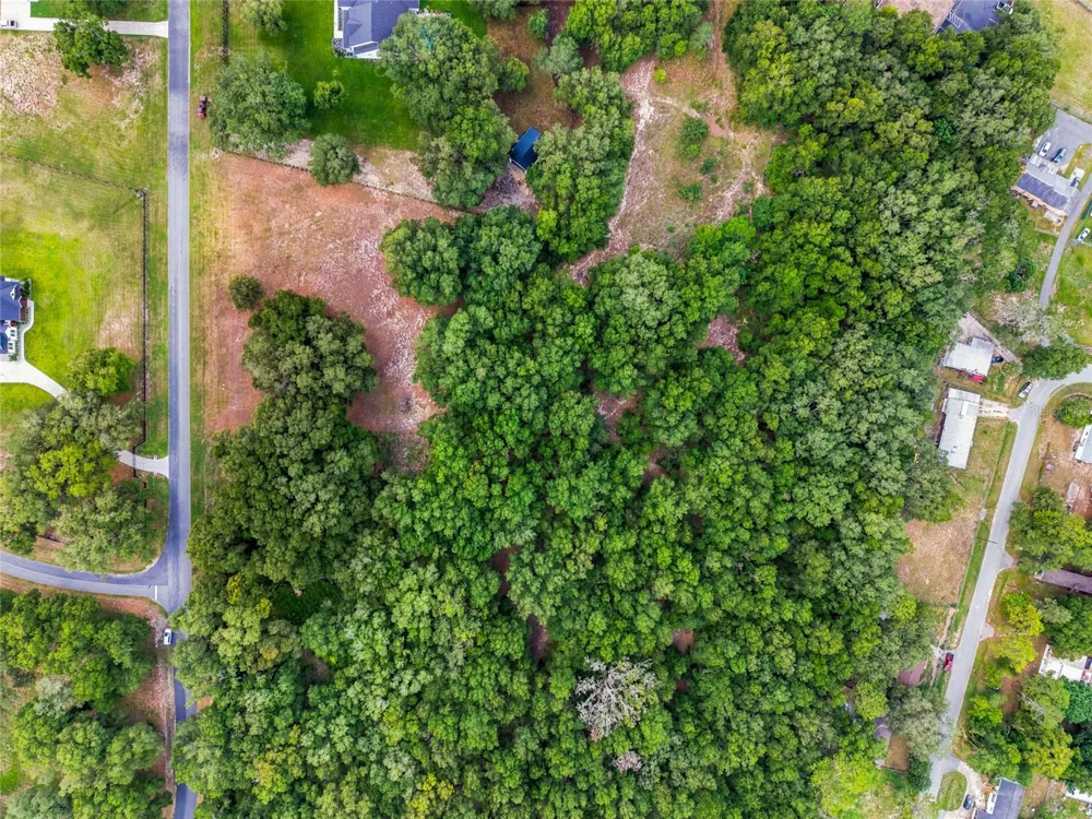 00 SE 101ST CT ROAD Belleview, FL 34420
