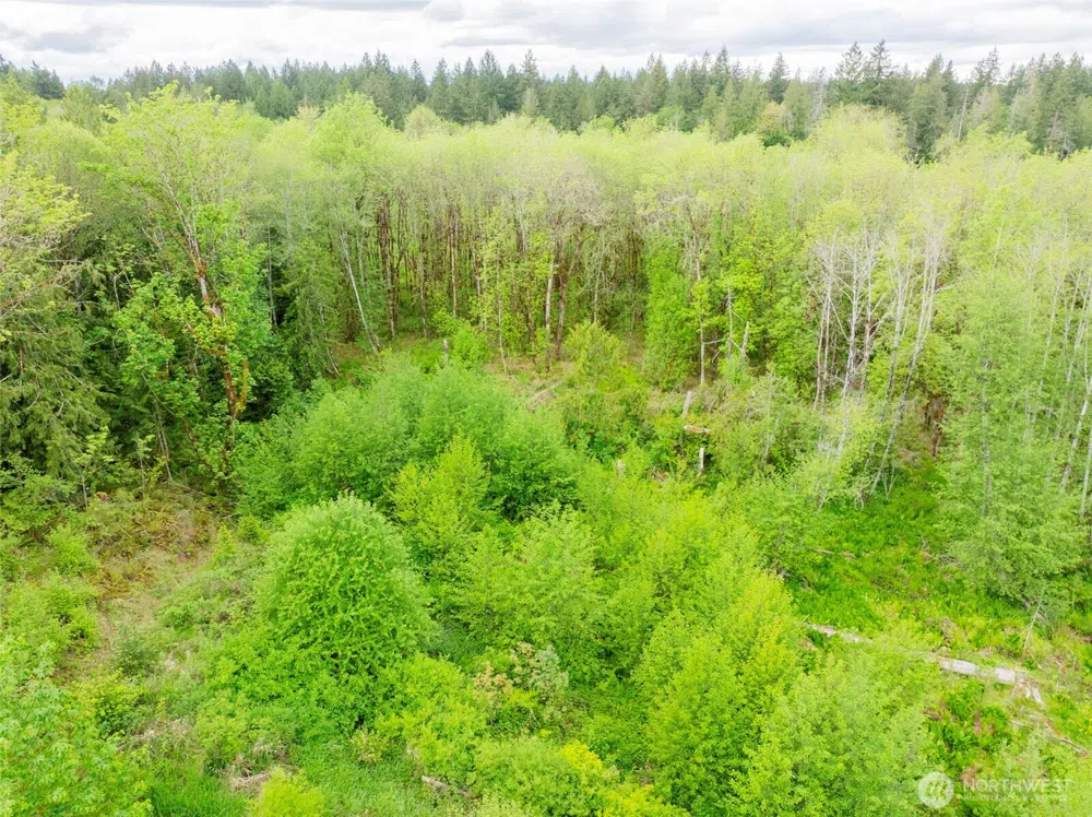 0 Eadon Road Toledo, WA 98591