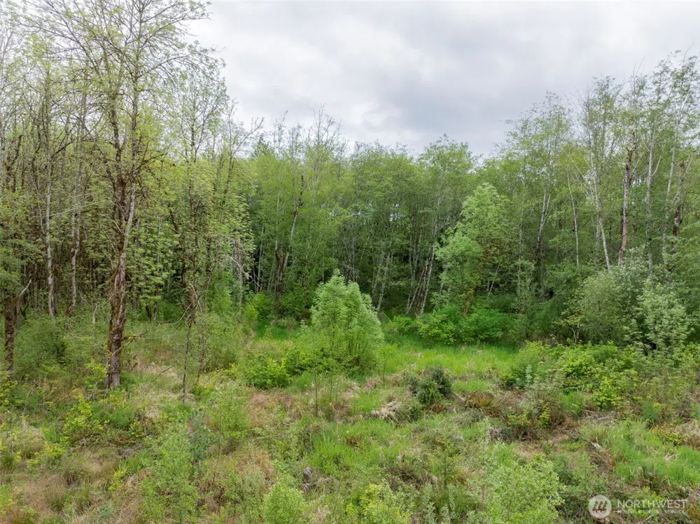 0 Eadon Road Toledo, WA 98591