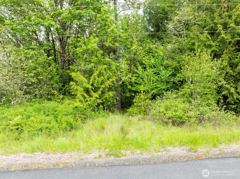 0 Eadon Road Toledo, WA 98591