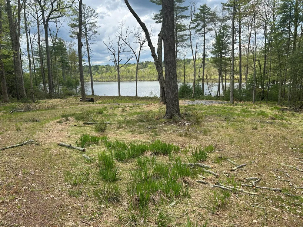 Lake View Drive Call Listing Agent, NY 12743