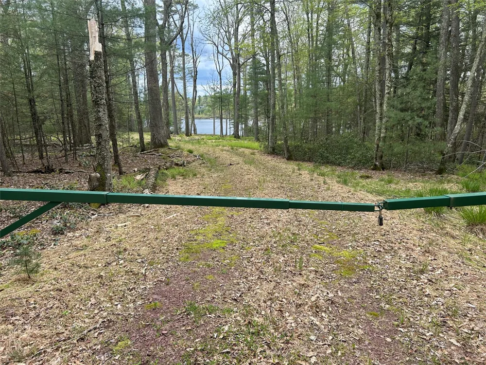 Lake View Drive Call Listing Agent, NY 12743