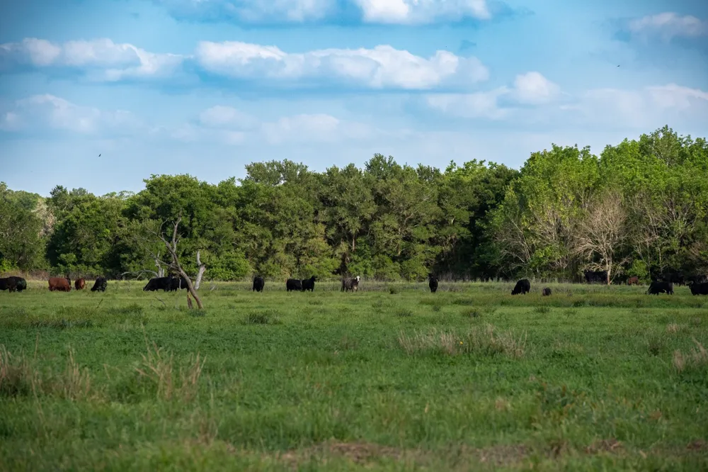 Address Not Shown Somerville, TX 77879