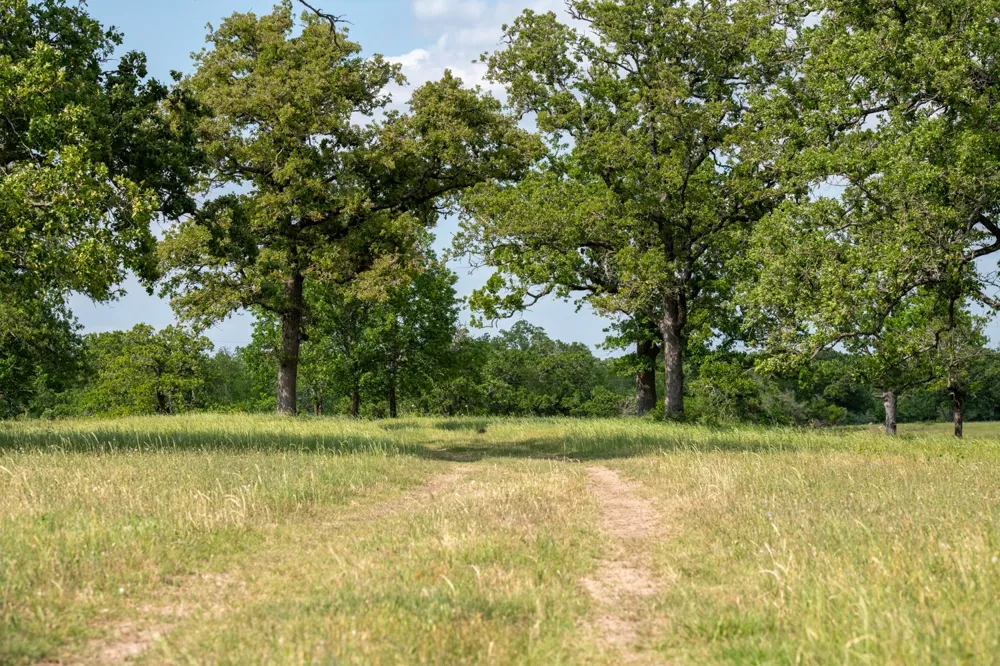 Address Not Shown Somerville, TX 77879