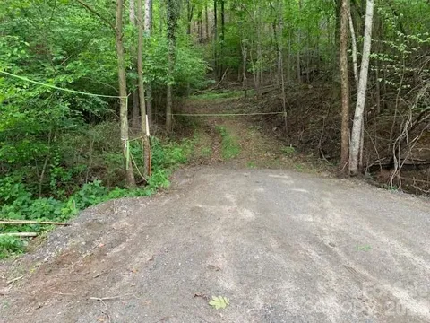 42.16 ACS GREEN RIVER COVE ROAD #42.162 AC.