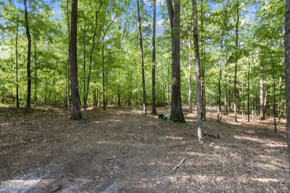 Lot 2 Helena Moriah Road Timberlake, NC 27583