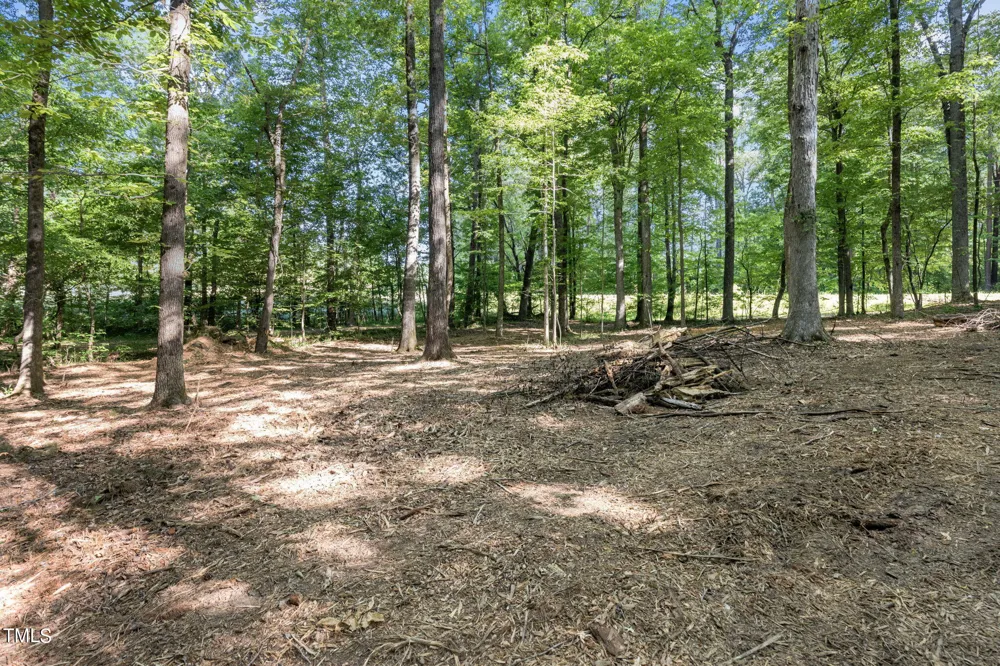Lot 2 Helena Moriah Road Timberlake, NC 27583