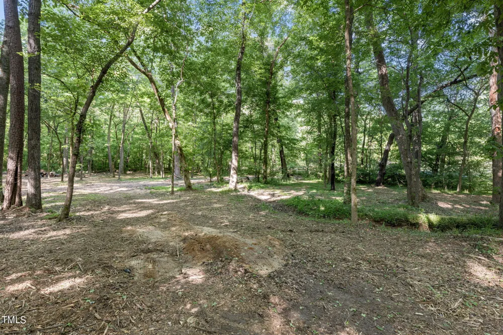 Lot 2 Helena Moriah Road Timberlake, NC 27583