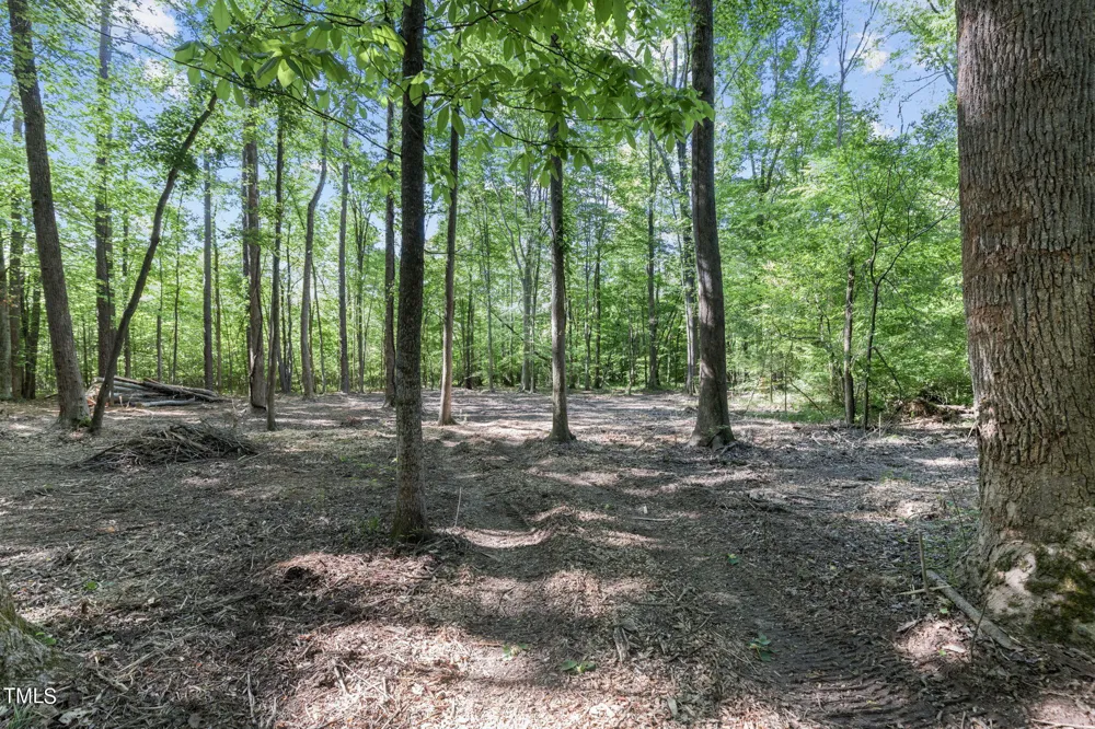 Lot 2 Helena Moriah Road Timberlake, NC 27583