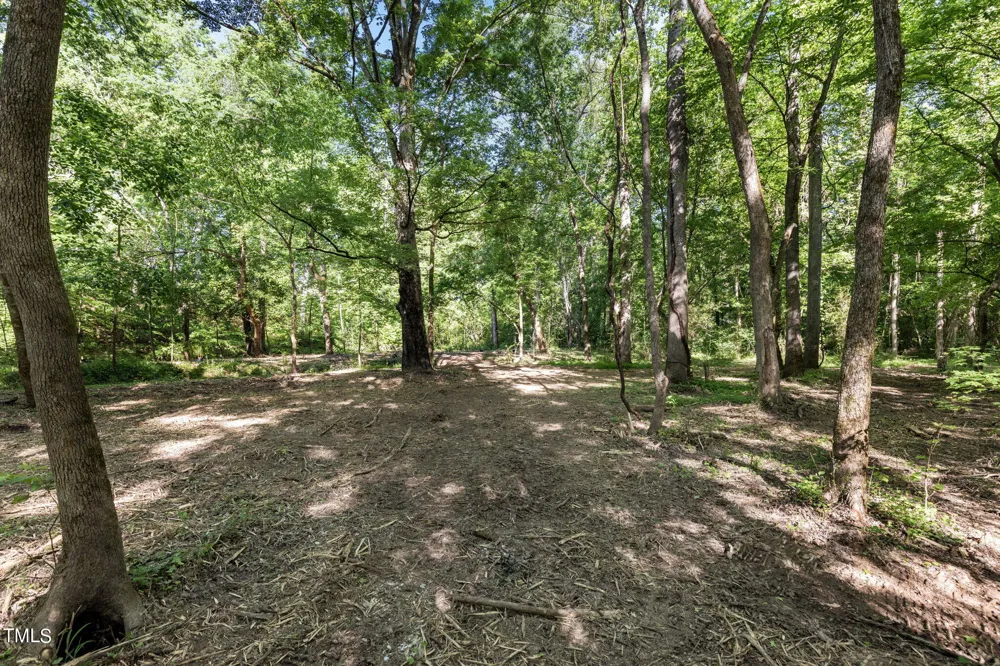 Lot 2 Helena Moriah Road Timberlake, NC 27583